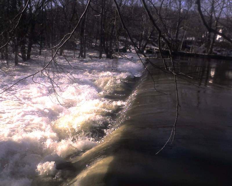 Trip report photo
