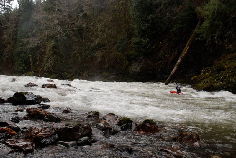 Leader Rapids