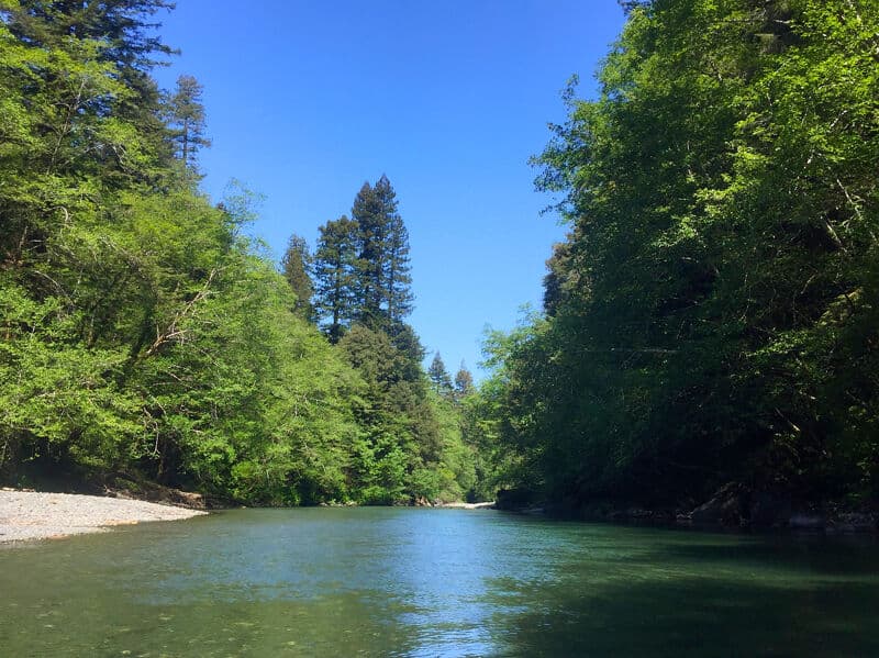Redwood Creek photo by Sara Gallagher