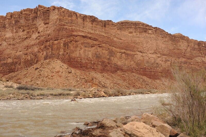 Badger Rapid (5)