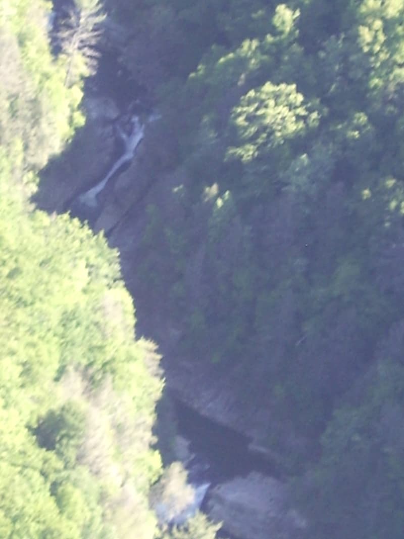 Trip report photo