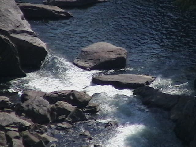 Trip report photo