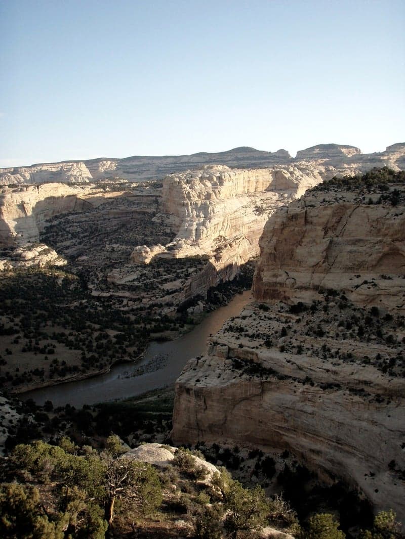Trip report photo