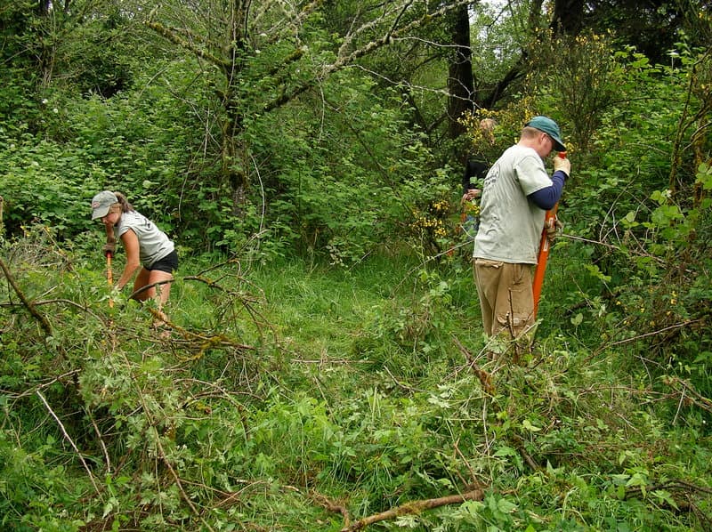 Volunteer Work Party