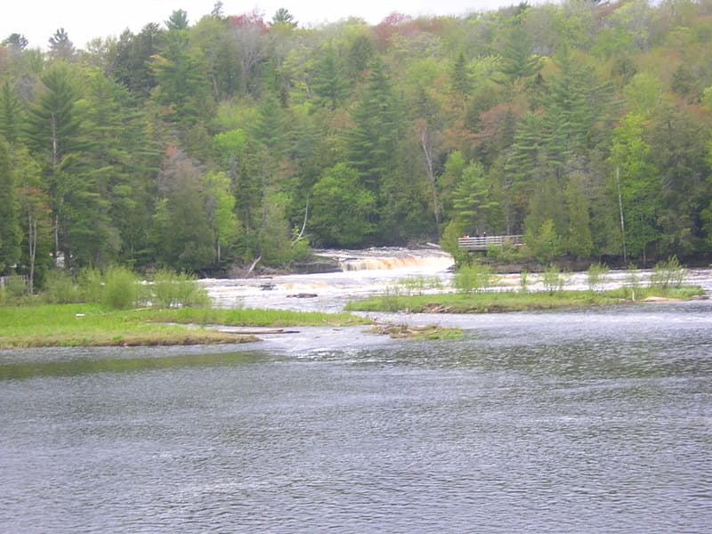 June 4, 2006 Photos