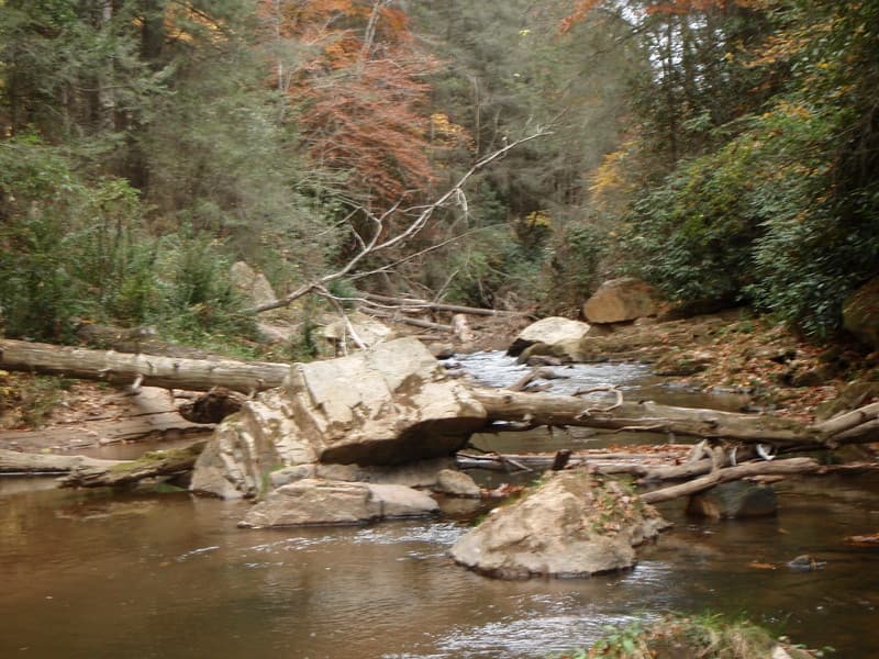 Log Jams