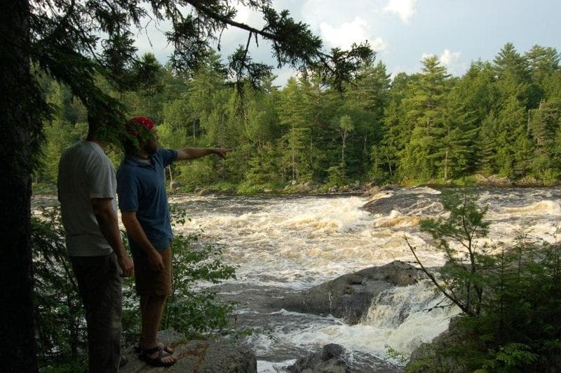Upper Gordon