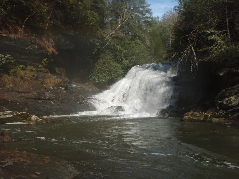 Taylor Shoals