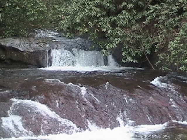 Rapid 2