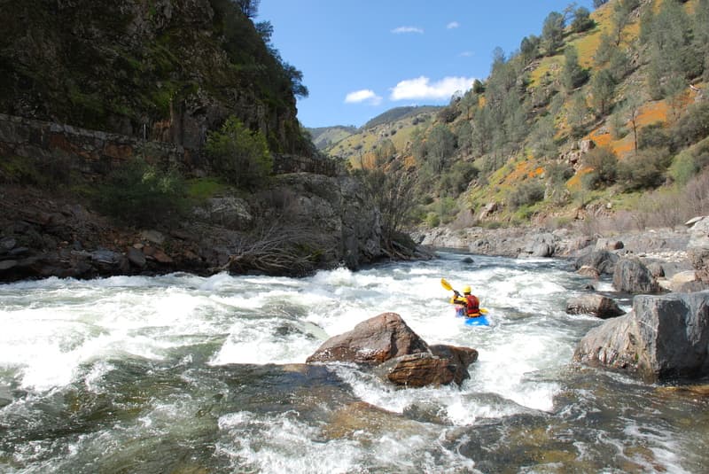 Ned's Gulch