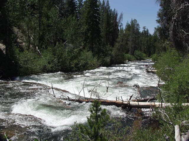 Trip report photo
