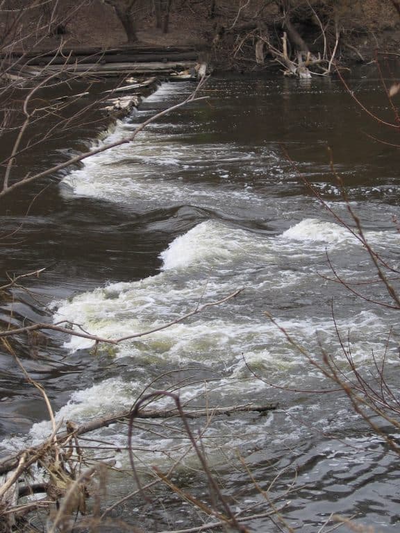 Timber Dam ("TD")