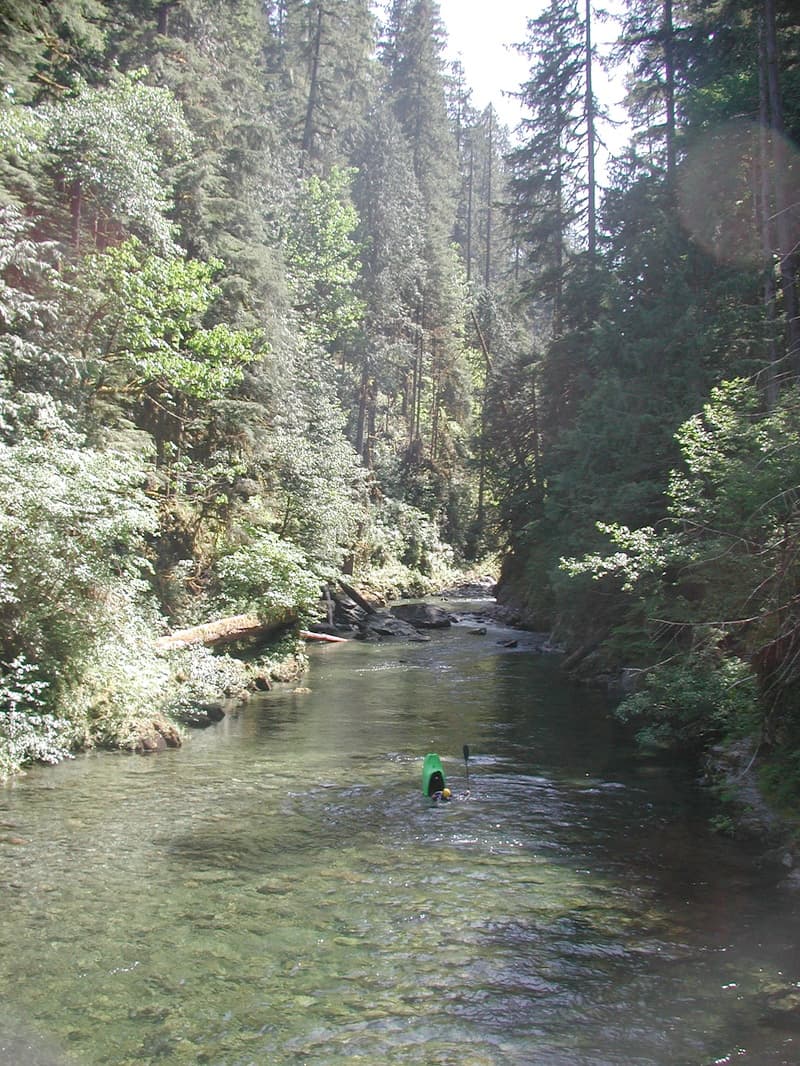 Trip report photo