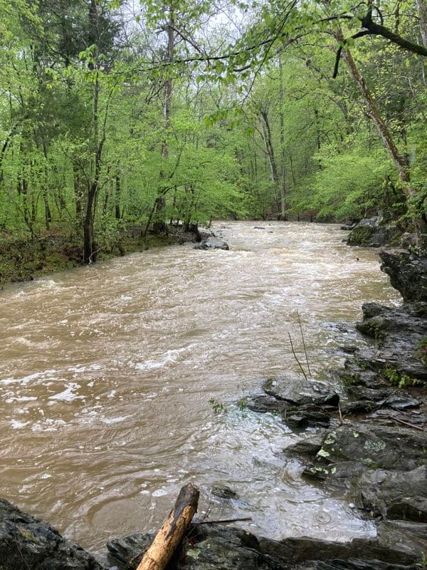 Piney Mountain Rapid