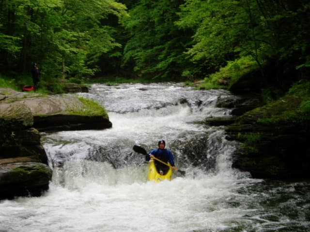 Trip report photo