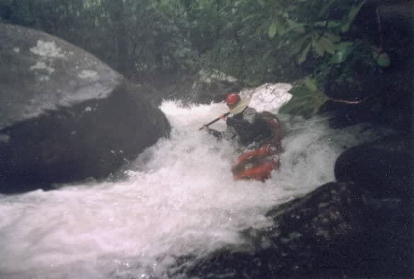 Typical rapid