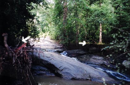 St Rd 88 rapids
