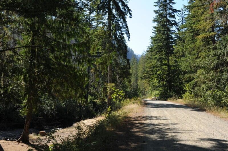 Forest Road 2480 Bridge Take-Out