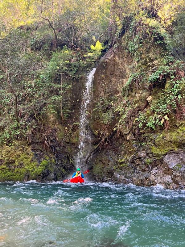 Scenic float