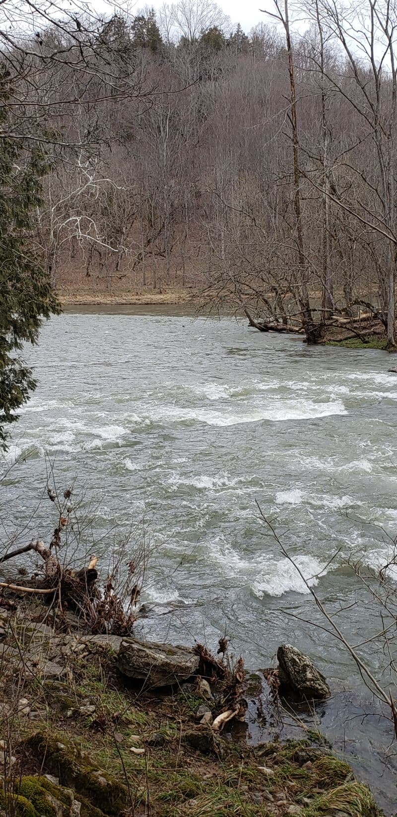 Clinch River confluence