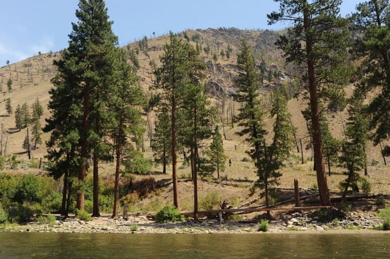 White Creek Camp (RR)