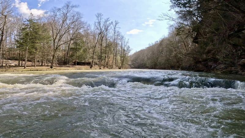 Heron Ledge (Burntmill Ford Bridge)