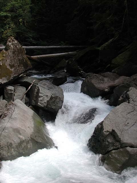 Trip report photo