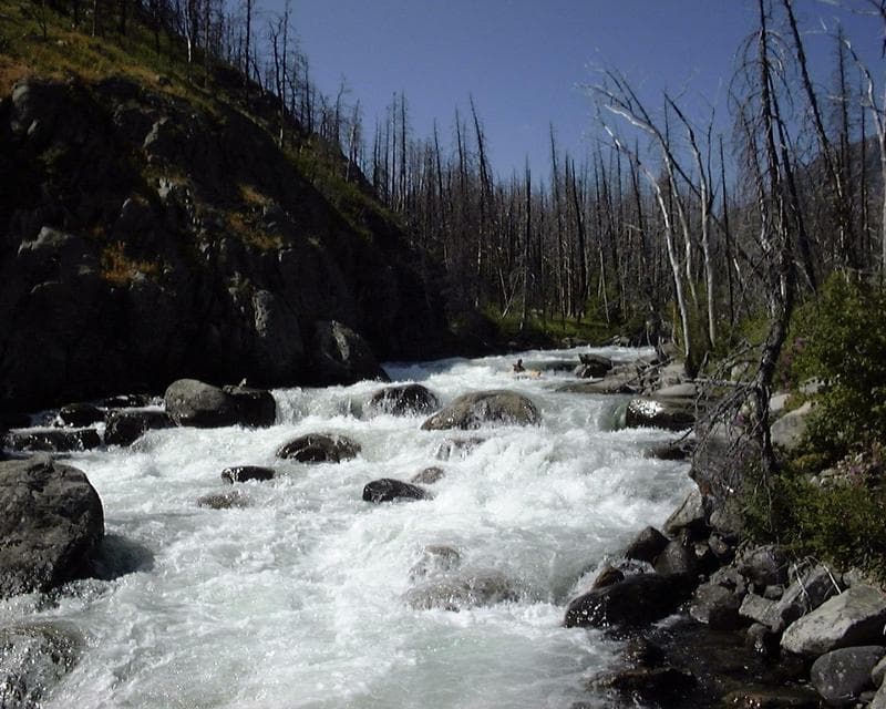 Trip report photo