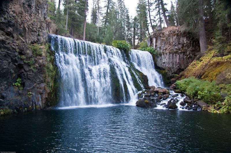 Trip report photo