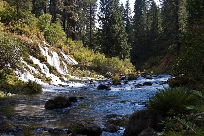 Big Springs