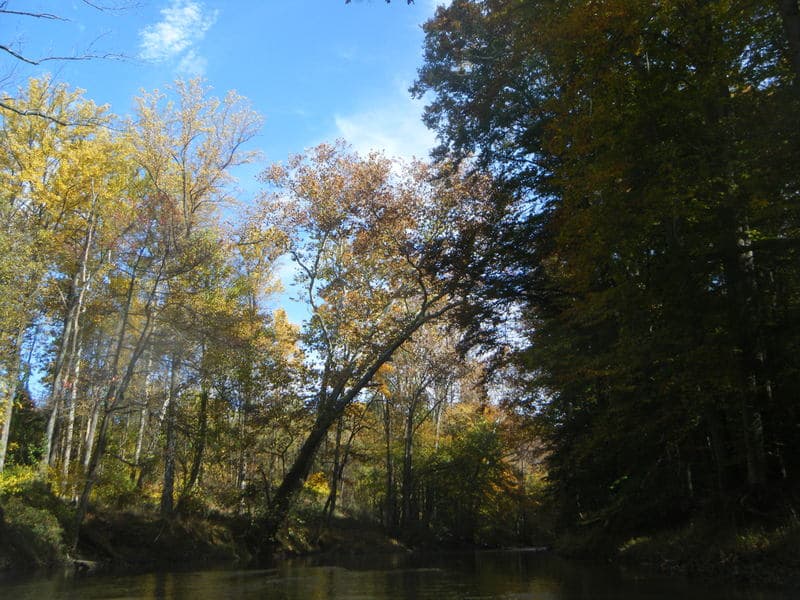 Trip report photo