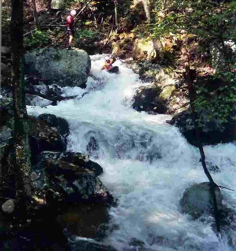 Trip report photo