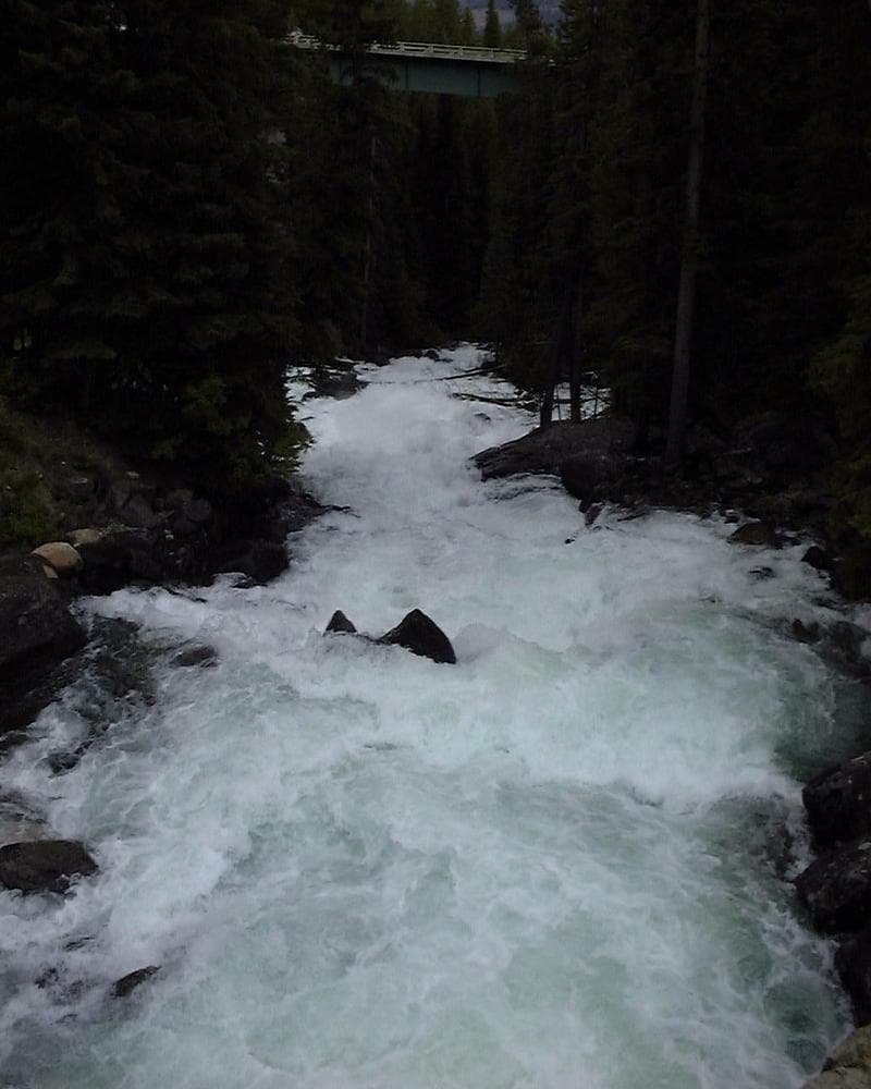 Trip report photo