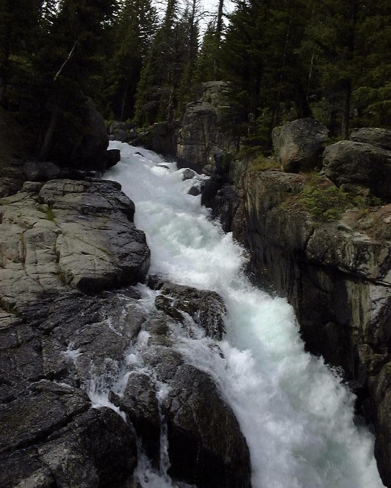 Trip report photo