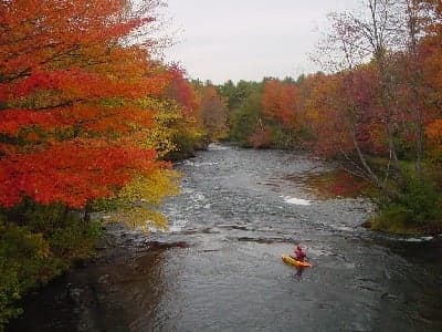 Trip report photo