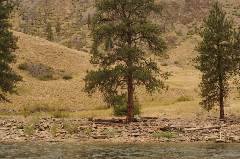 Grassy Flat II Camp (RL)