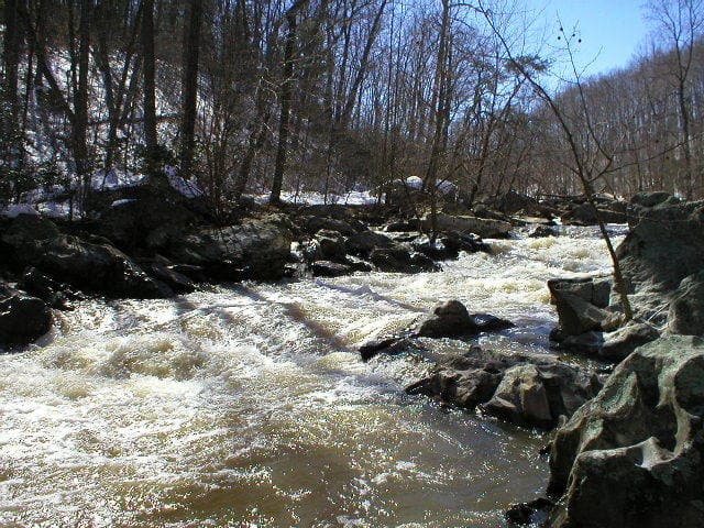 1st Rapid