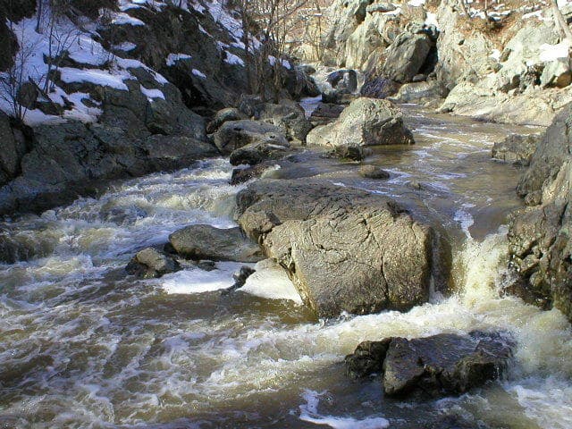 6th rapid