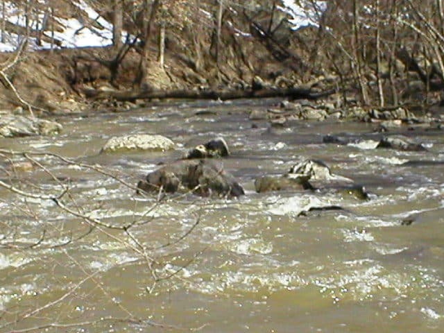 7th rapid