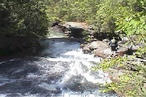 Trip report photo