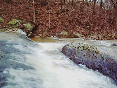 Mud Slide
