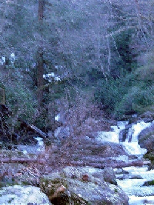 Trip report photo