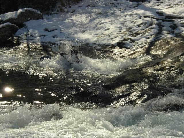 Trip report photo