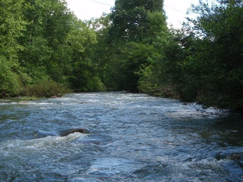 Little Walker Creek, final mile