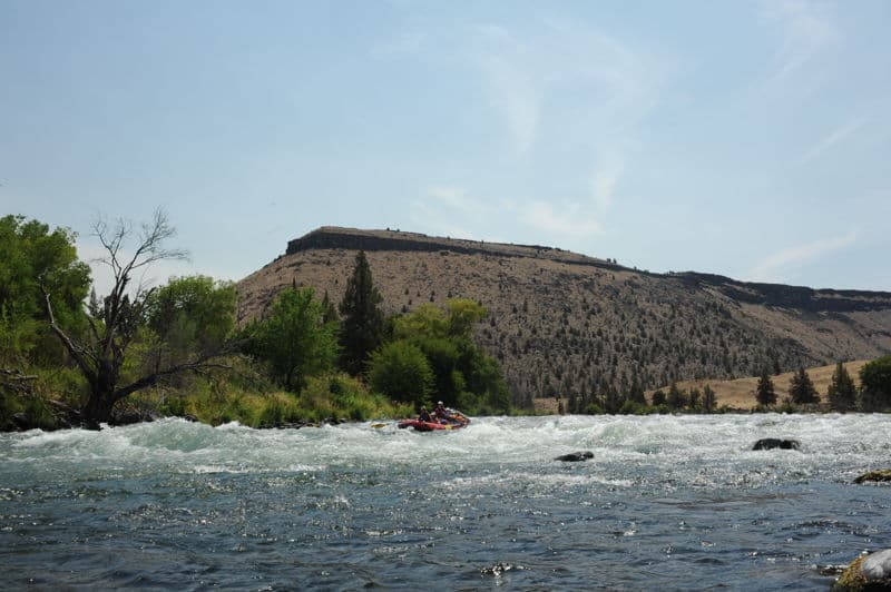 Lower Trout Creek Rapids
