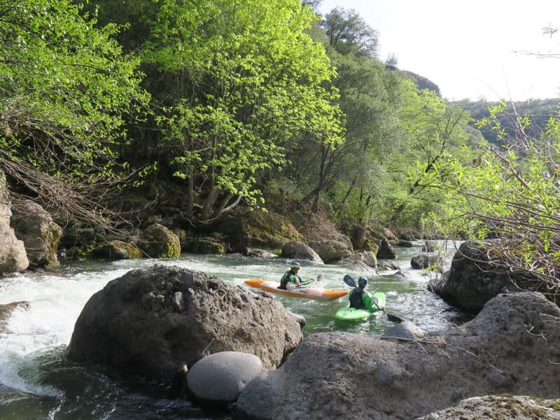 Low Flow In Hardshells