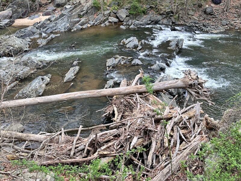 Major Strainer/Log Jam River right last drop of the ledges 