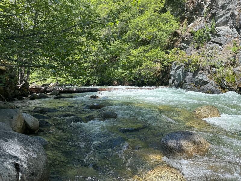 River wide strainer