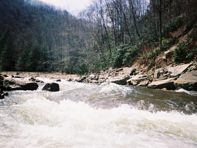 Trip report photo
