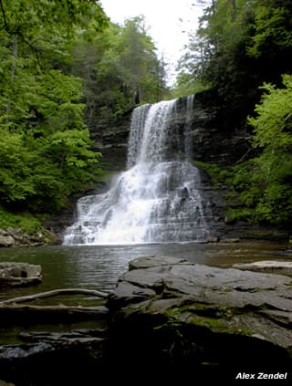 Trip report photo